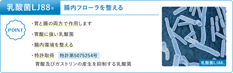 乳酸菌LJ88 腸内フローラを整える