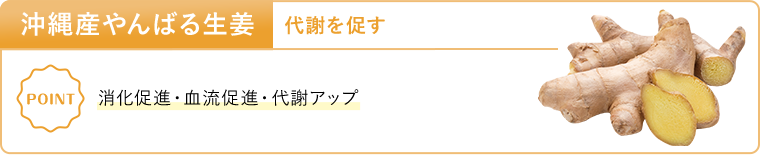 沖縄県産やんばる生姜 代謝を促す