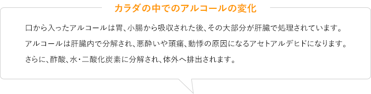 カラダの中でのアルコールの変化　口から入ったアルコールは胃、小腸から吸収された後、その大部分が肝臓で処理されています。アルコールは肝臓内で分解され、悪酔いや頭痛、動悸の原因になるアセトアルデヒドになります。さらに、酢酸、水・二酸化炭素に分解され、体外へ排出されます。