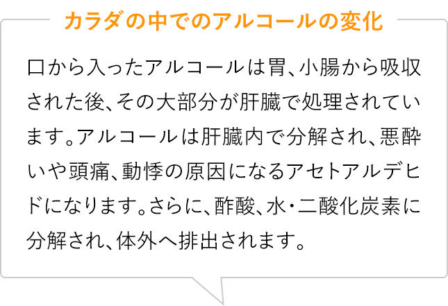 カラダの中でのアルコールの変化　口から入ったアルコールは胃、小腸から吸収された後、その大部分が肝臓で処理されています。アルコールは肝臓内で分解され、悪酔いや頭痛、動悸の原因になるアセトアルデヒドになります。さらに、酢酸、水・二酸化炭素に分解され、体外へ排出されます。